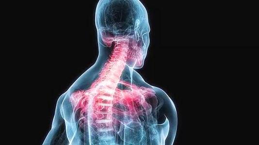 广州中医正骨整脊班