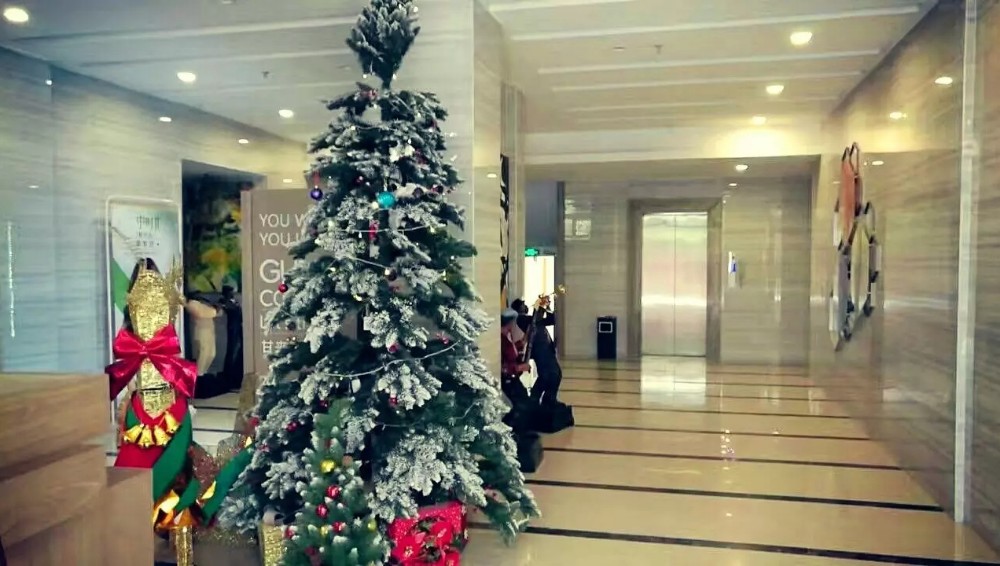 20190213151313_510 20190213151313_510