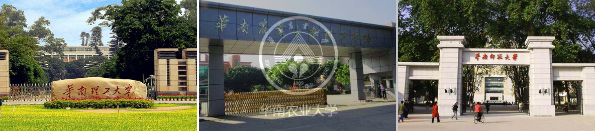 合作学校 合作学校