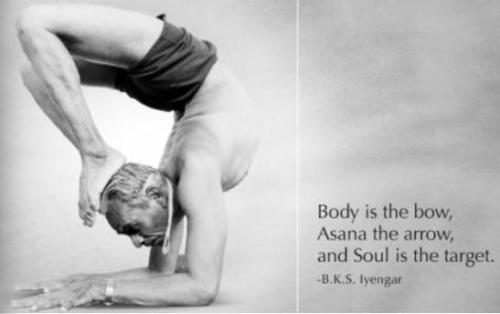 瑜伽理疗师教学体系必修课YTT第2阶段 瑜伽理疗师教学体系必修课YTT第2阶段