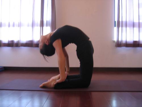 课程介绍 课程介绍