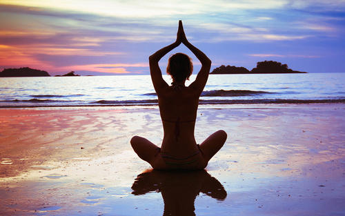 课程大纲 课程大纲