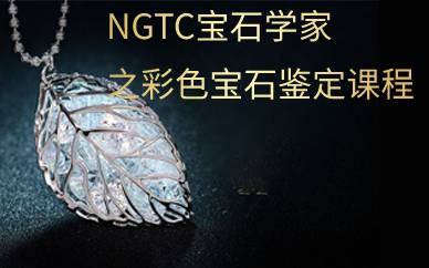 NGTC宝石学家之彩色宝石鉴定课程