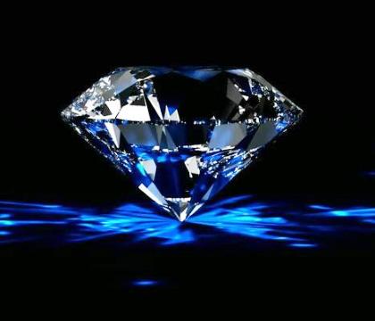 课程设置 课程设置