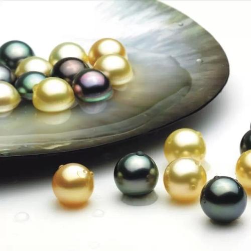 培训方式与时间: 培训方式与时间: