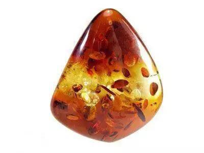 课程设置 课程设置