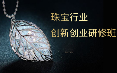 广州珠宝行业创新创业研修班