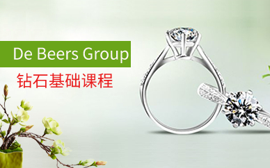 De Beers Group 钻石基础课程