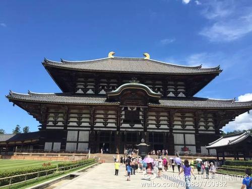 项目主要锻炼的智能：