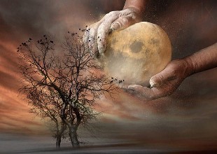 课程安排 课程安排