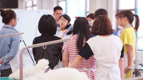 1d40e681c06f3651d27b97c8c138749d151050d4