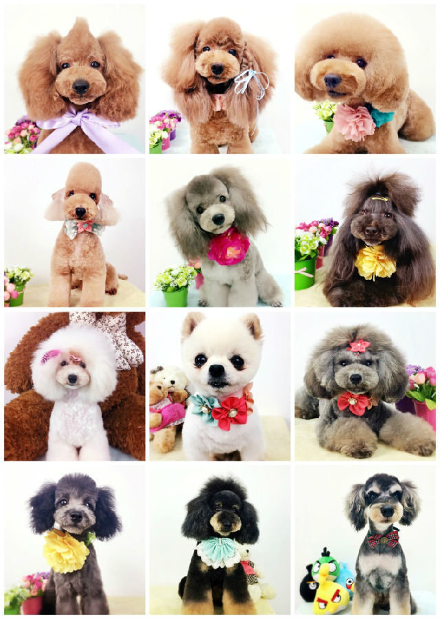 老师作品 老师作品