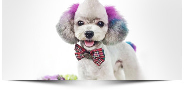 e56fa7bc742258ee802b695c45c695b8caa4410f