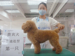 82e9e809efc0c93b62e3cc688140402464b2bb4a