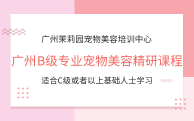 广州B级专业宠物美容精研课程