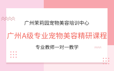 广州A级专业宠物美容课程