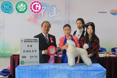 学校荣誉 学校荣誉
