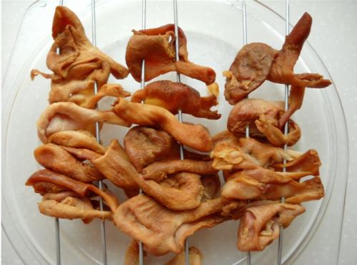 课程设置 课程设置