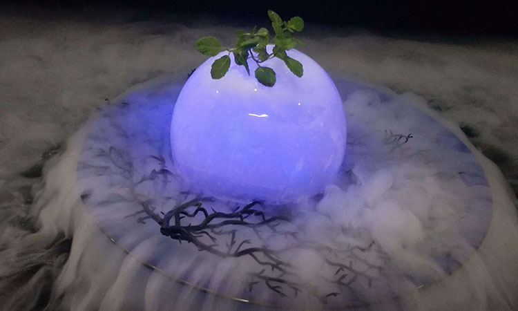 开店指导课程 开店指导课程