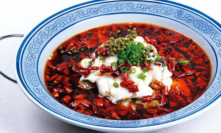 培养目标 培养目标