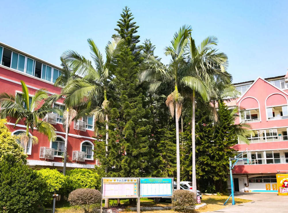 美麗環(huán)境 舒心教學(xué) 美麗環(huán)境 舒心教學(xué)