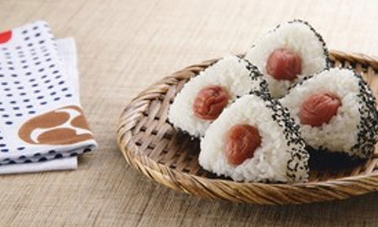 培养目标 培养目标