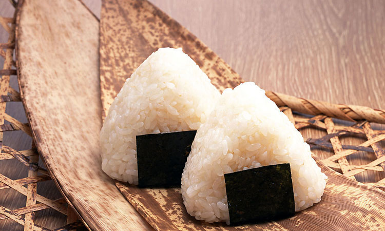 学习项目 学习项目