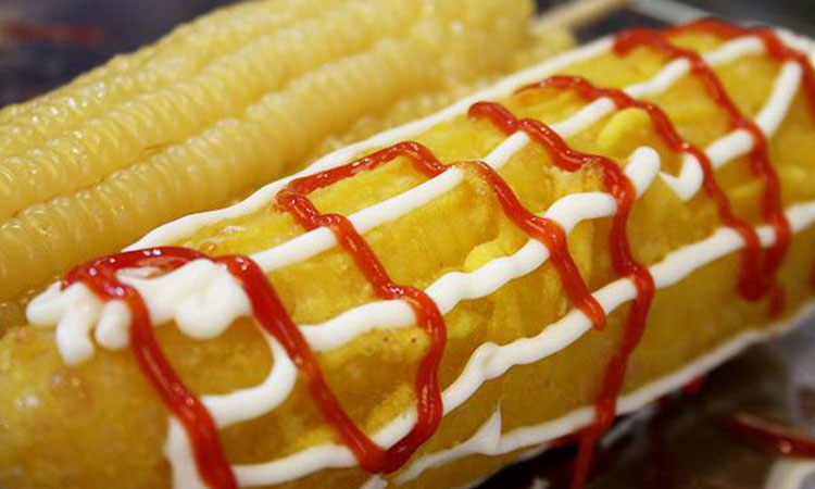 培养目标 培养目标