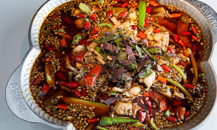 培养目标 培养目标