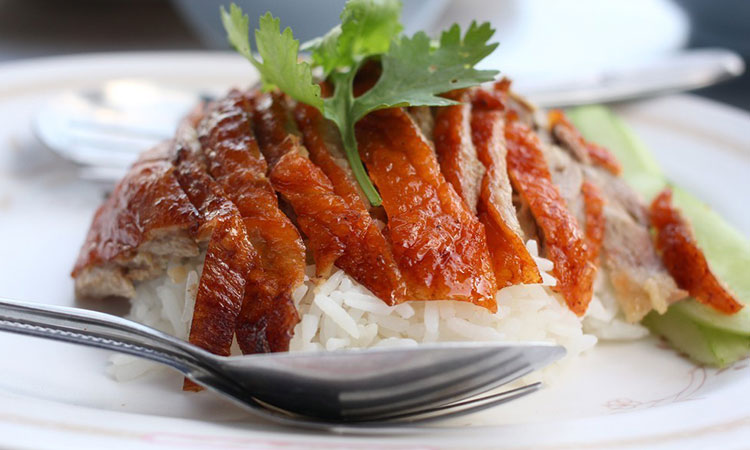 发展前景 发展前景