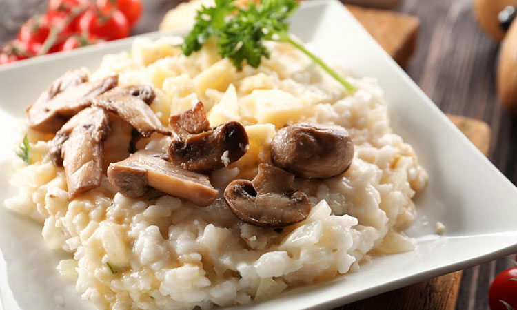 发展前景 发展前景