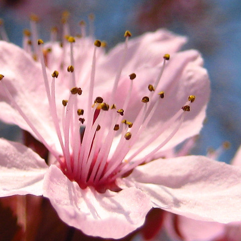 a6c2160ec54bcc906f290ca57c68540a