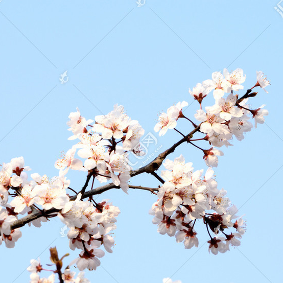 c9a06cd4b7499b4d7408405167ed550c (1)