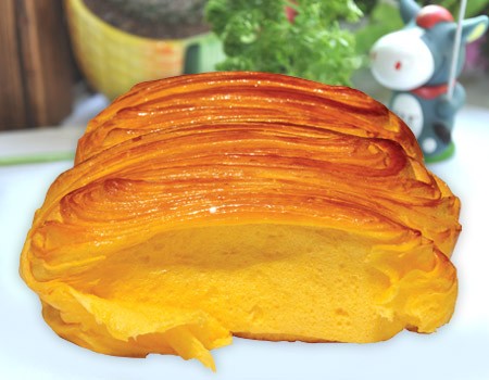 培养目标|发展前景