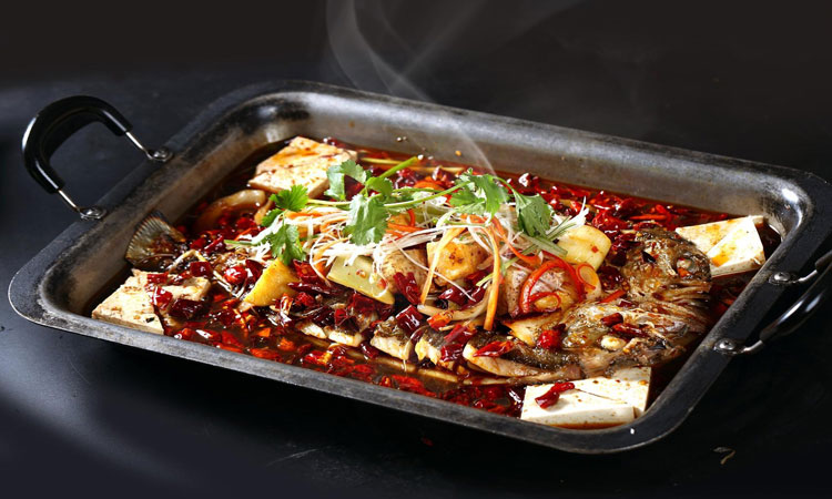 发展前景 发展前景