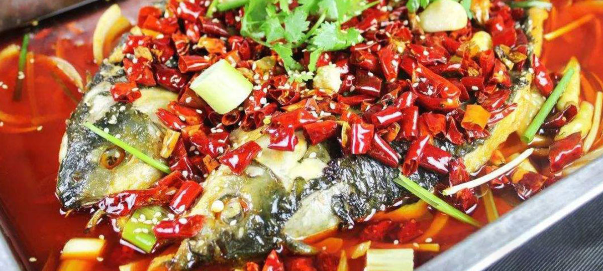 学员作品 学员作品