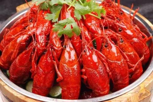 学习内容 学习内容