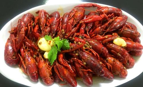 发展前景 发展前景