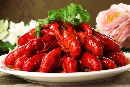 开店指导课程 开店指导课程