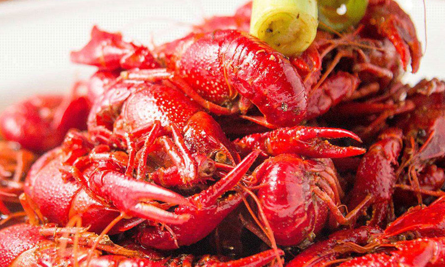 学员作品 学员作品