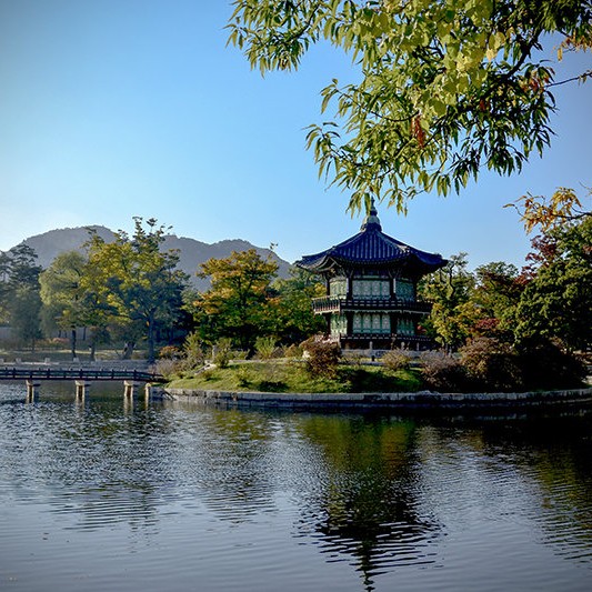 课程内容 课程内容