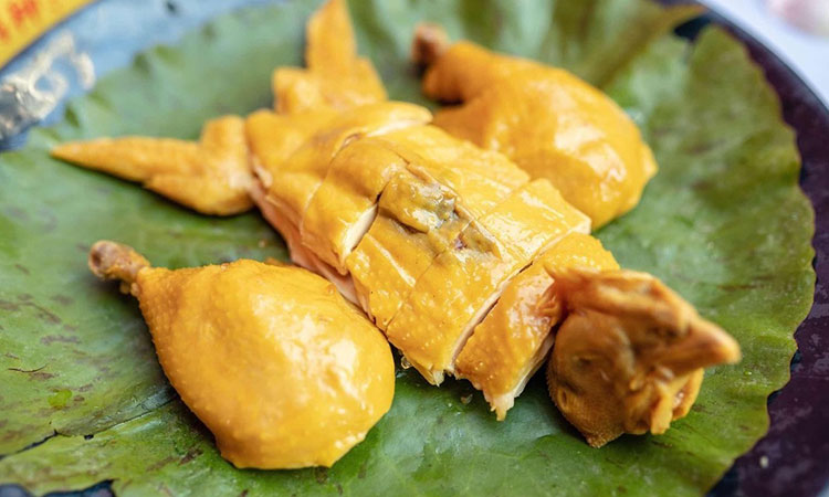 盐炯鸡的理论学习包括 盐炯鸡的理论学习包括