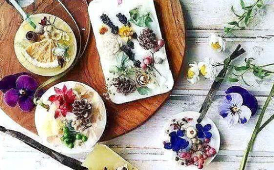 惊喜！广州桜にほんご十一月活动一览