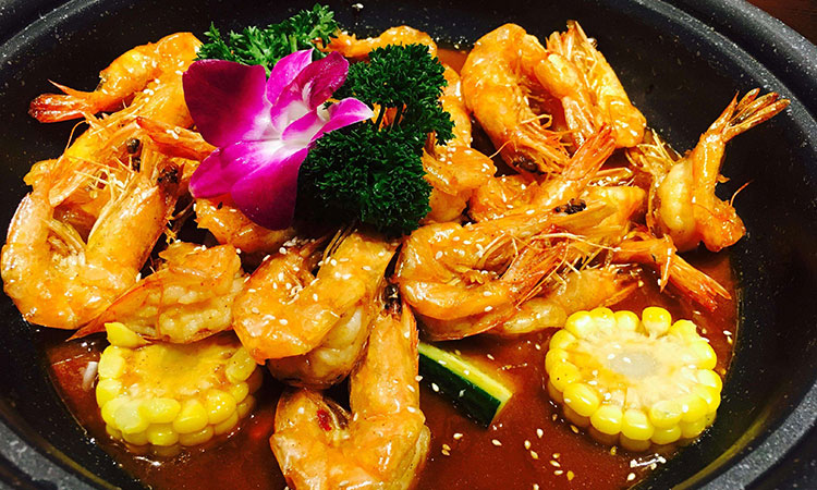 发展前景 发展前景