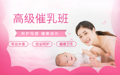 深圳高级催乳班