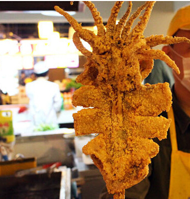 基础实操课程：