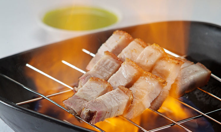 培养目标 培养目标