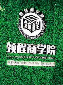 领程商学院 领程商学院