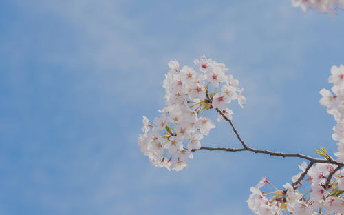 日语初级培训班