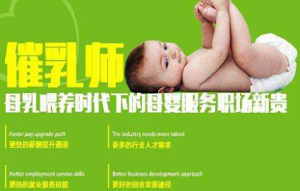 職業(yè)概述 職業(yè)概述